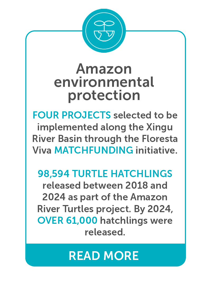 Proteção Ambiental da Amazônia
