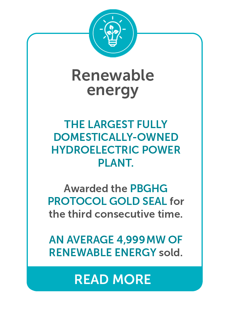 Energia Renovável