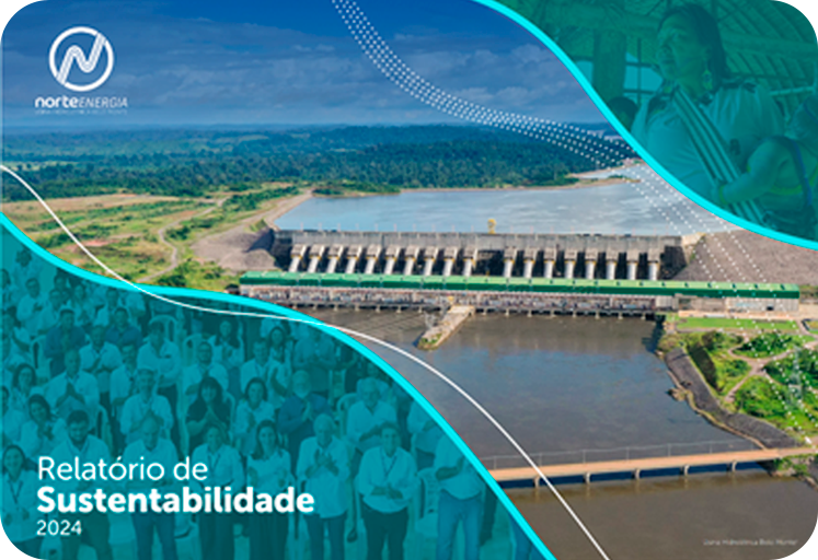 Relatório em português