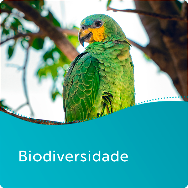Biodiversidade