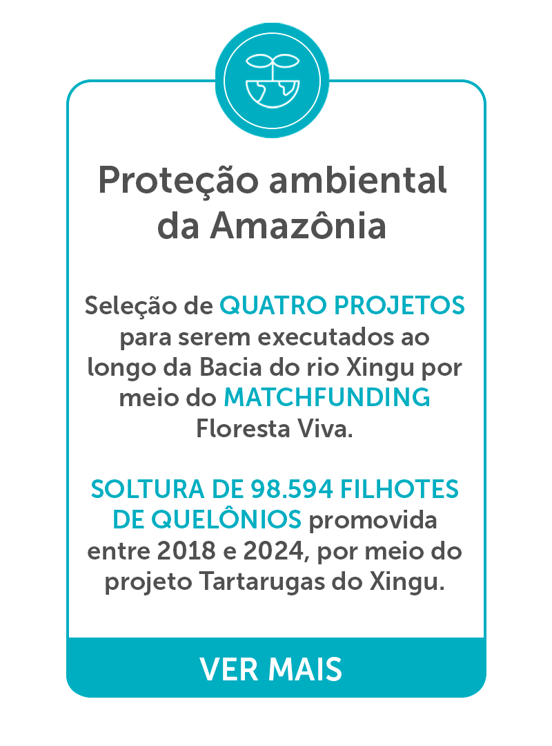 Proteção Ambiental da Amazônia